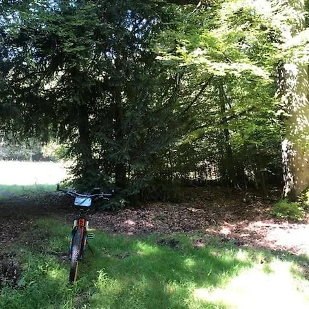 アパート Modernes Und Behagliches Einliegerapartment, 50 Qm-deine Ruheoase- *