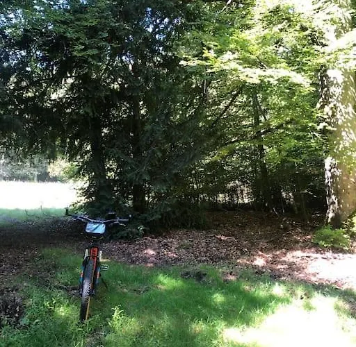 아파트 Modernes Und Behagliches Einliegerapartment, 50 Qm-deine Ruheoase- *